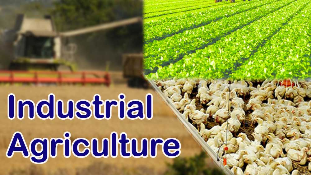 Industrial Agriculture